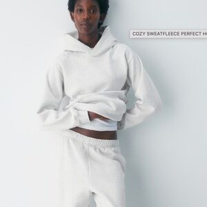 Aritzia Cozy Sweatfleece Hoodie in Light Gray